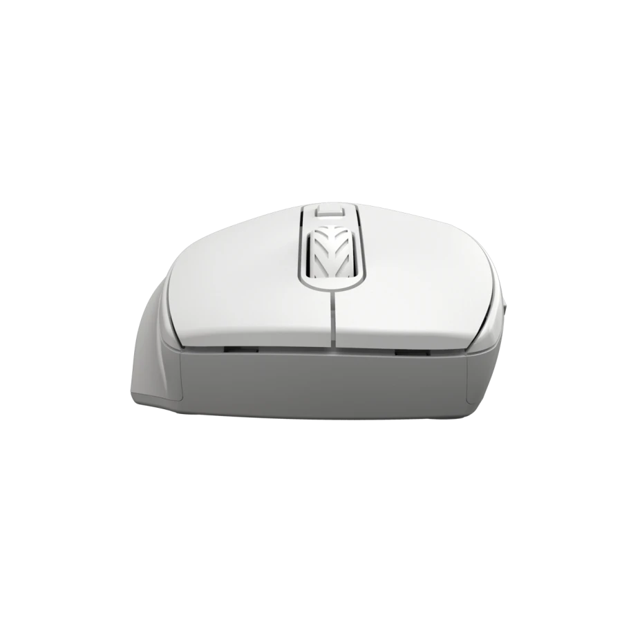 CANYON CNE-CMSW20 Mouse