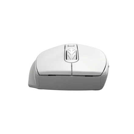 CANYON CNE-CMSW20 Mouse