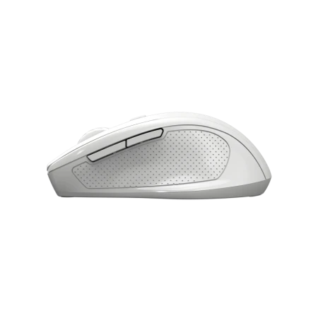 CANYON CNE-CMSW20 Mouse