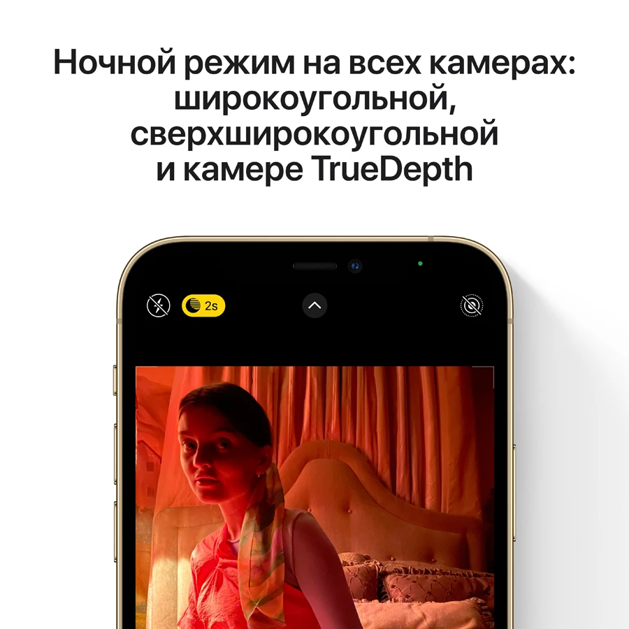Купить Apple iPhone 12 Pro Max 512 ГБ Золотой