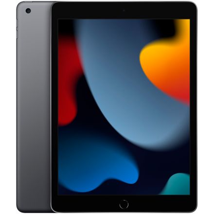 iPad 10.2 (9 Gen), 256 ГБ, Wi-Fi, Серый космос