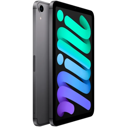 Купить iPad mini 6, 64 ГБ, Wi-Fi+4G, Серый космос