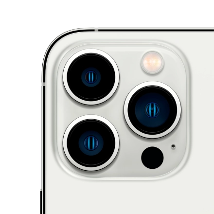 Apple iPhone 13 Pro 1 TB Серебристый