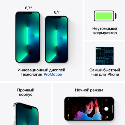 Apple iPhone 13 Pro 1 TB Серебристый