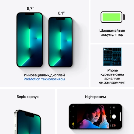 Apple iPhone 13 Pro 1 TB Серебристый