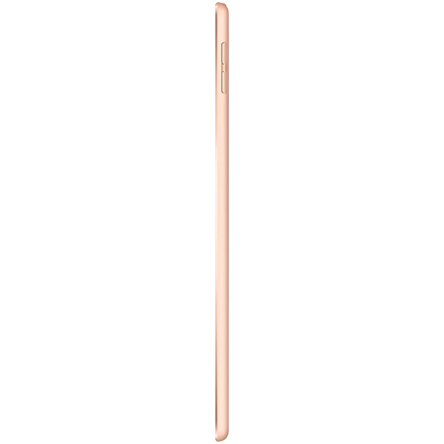 iPad mini 5, 256 GB, Wi-Fi, Gold