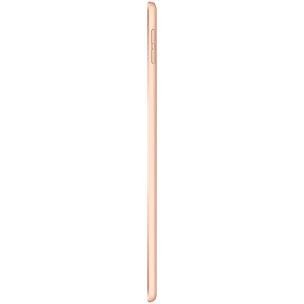 iPad mini 5, 256 GB, Wi-Fi, Gold