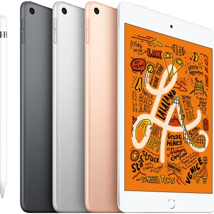 iPad mini 5, 256 GB, Wi-Fi, Gold