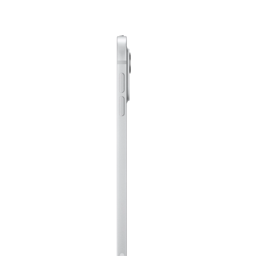 iPad Pro 11 (M4), 256 ГБ, Wi-Fi, Стандартная, Серебристый