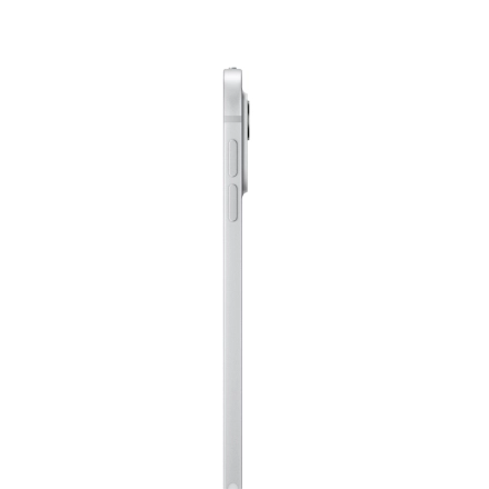 iPad Pro 11 (M4), 256 ГБ, Wi-Fi, Стандартная, Серебристый