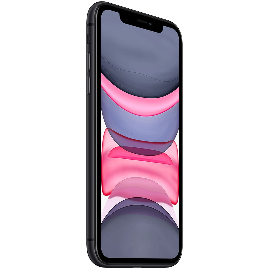Apple iPhone 11 256 GB Black Cumpără la cel mai bun preț pe Breezy.md