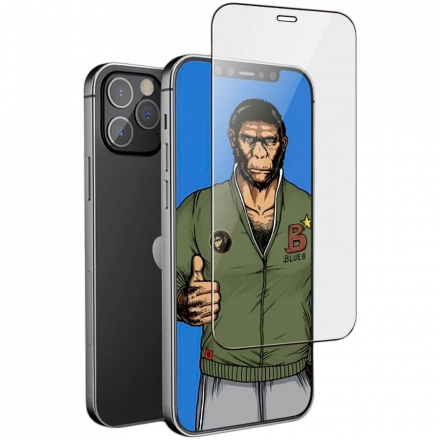Защитное стекло BLUEO для iPhone 12 mini