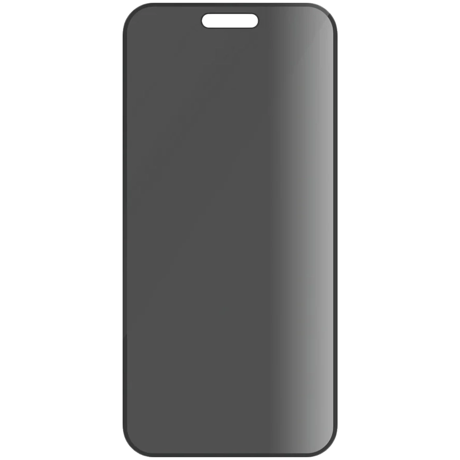 Защитное стекло PANZERGLASS для iPhone 16 Pro Max