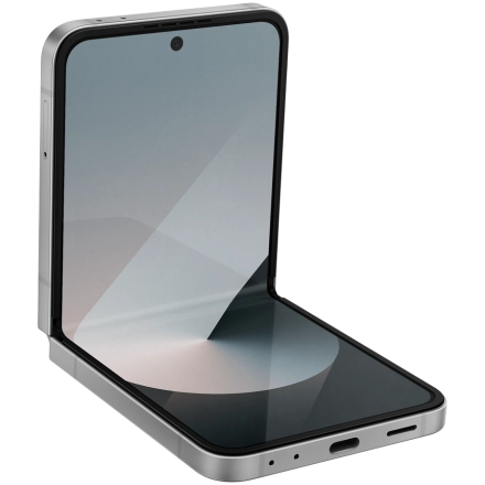 Samsung Galaxy Z Flip 6 256 ГБ Silver Shadow