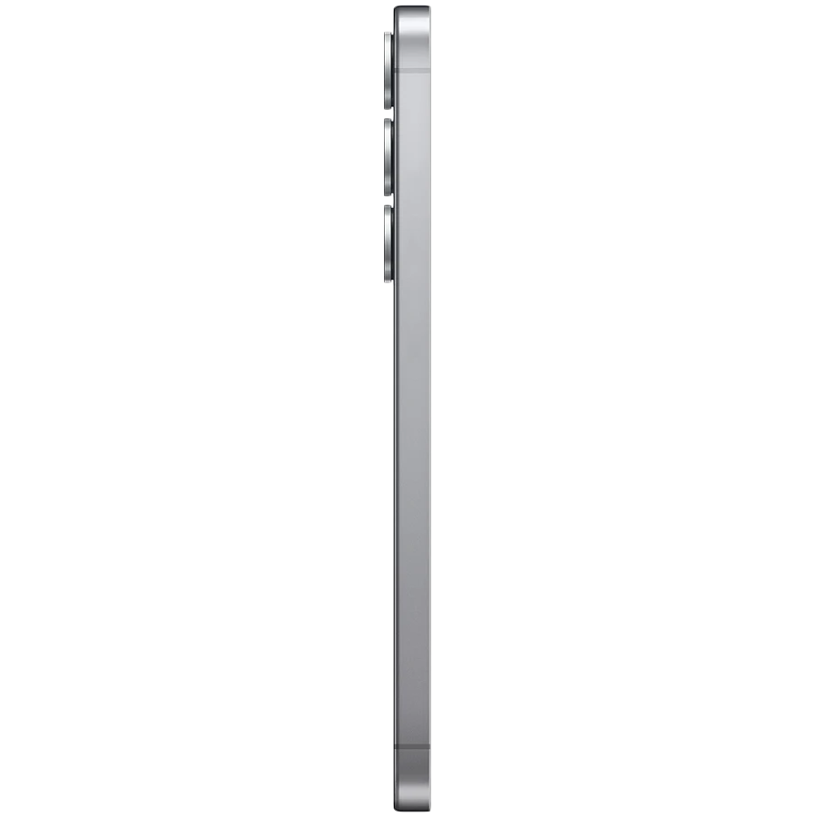 Samsung Galaxy S25 Plus 256 МБ Silver Shadow