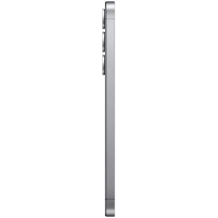 Samsung Galaxy S25 Plus 256 МБ Silver Shadow