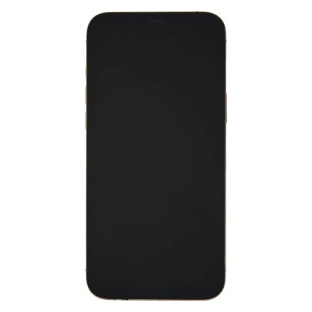 Купити Apple iPhone 12 Pro Max 128 ГБ Gold
