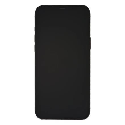Купити Apple iPhone 12 Pro Max 256 ГБ Graphite