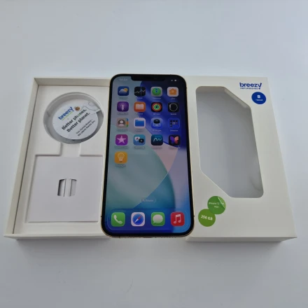 Купить Apple iPhone 12 Pro Max 256 ГБ Золотой