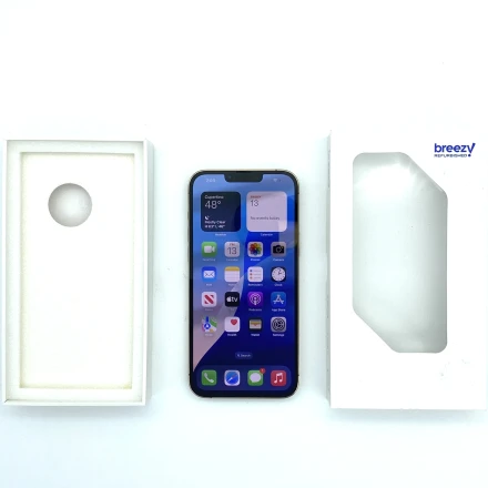 Buy Apple iPhone 13 Pro Max 256 GB Gold