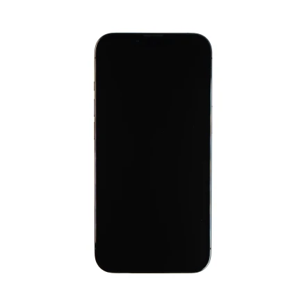 Apple iPhone 13 Pro 256 GB Graphite