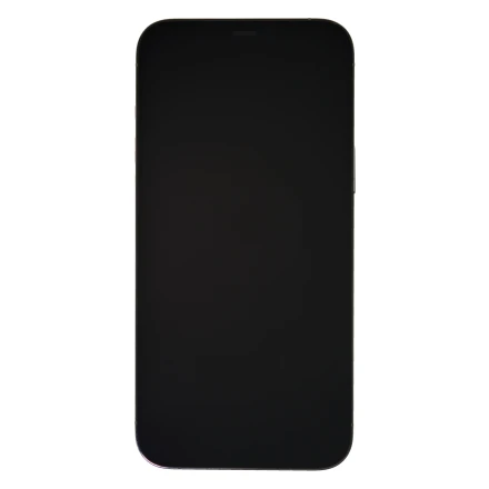 Купить Apple iPhone 12 Pro Max 256 ГБ Серебристый