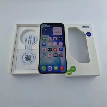 Купить Apple iPhone 12 Pro Max 256 ГБ Золотой