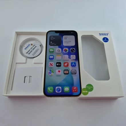 Купить Apple iPhone 12 Pro Max 256 ГБ Золотой