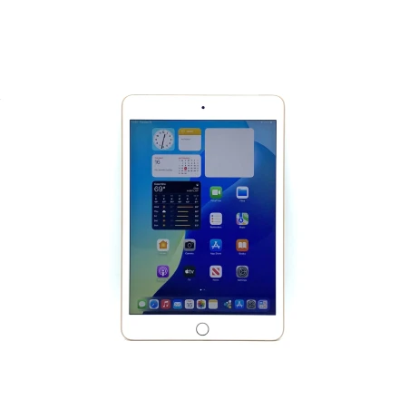 Buy iPad mini 5, 64 GB, Wi-Fi+4G, Gold
