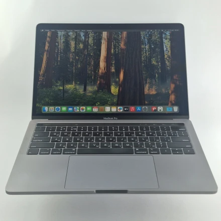 Купить Apple MacBook Pro 13