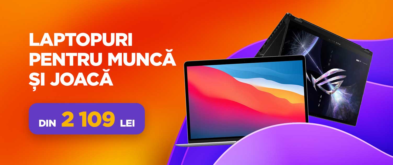 Laptopuri pentru muncă și joacă